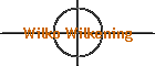 Wilko Wilkening